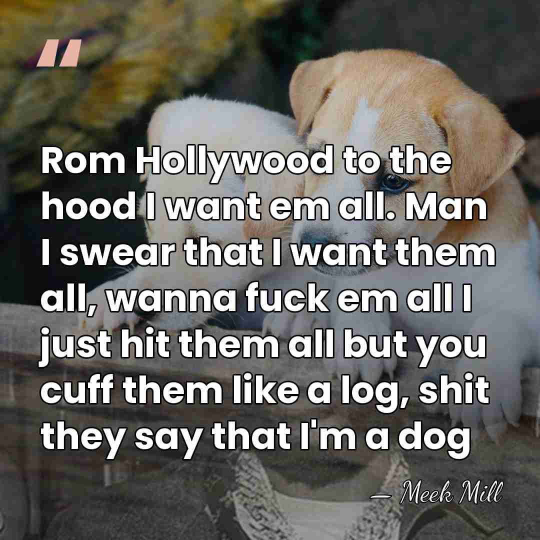 Rom Hollywood to the hood I want em all. Man I swear&hellip; - Meek Mill