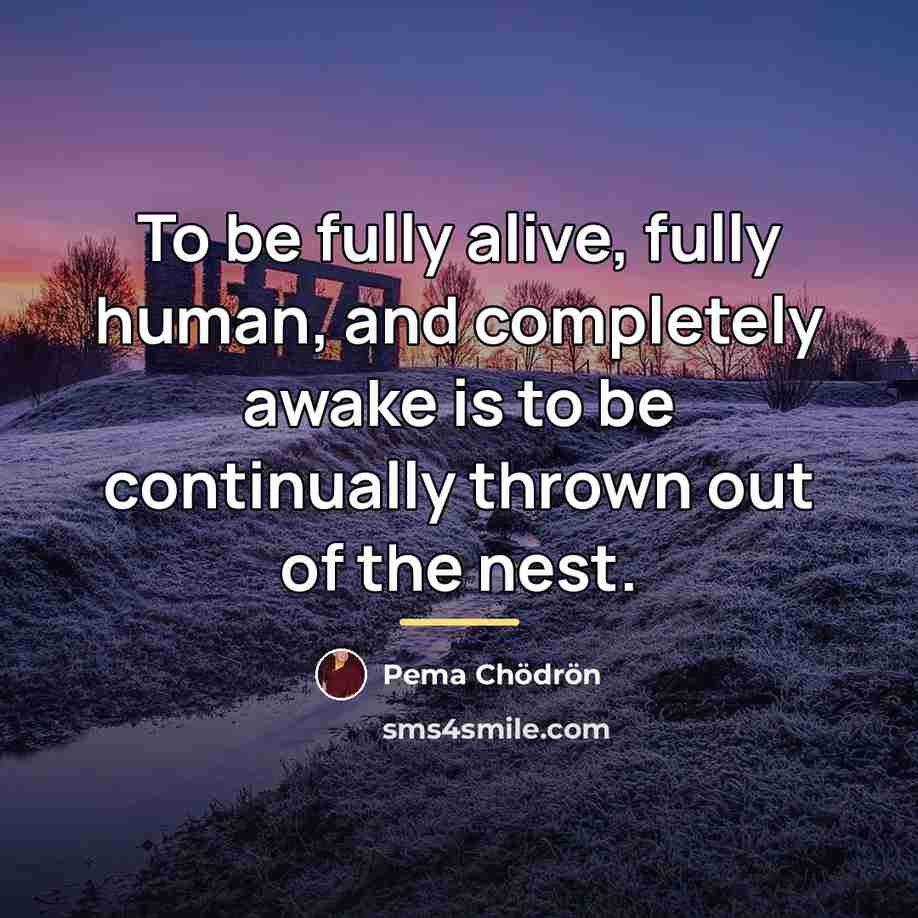 “To be fully alive, fully human, and completely awake is…” quote by Pema Chodron