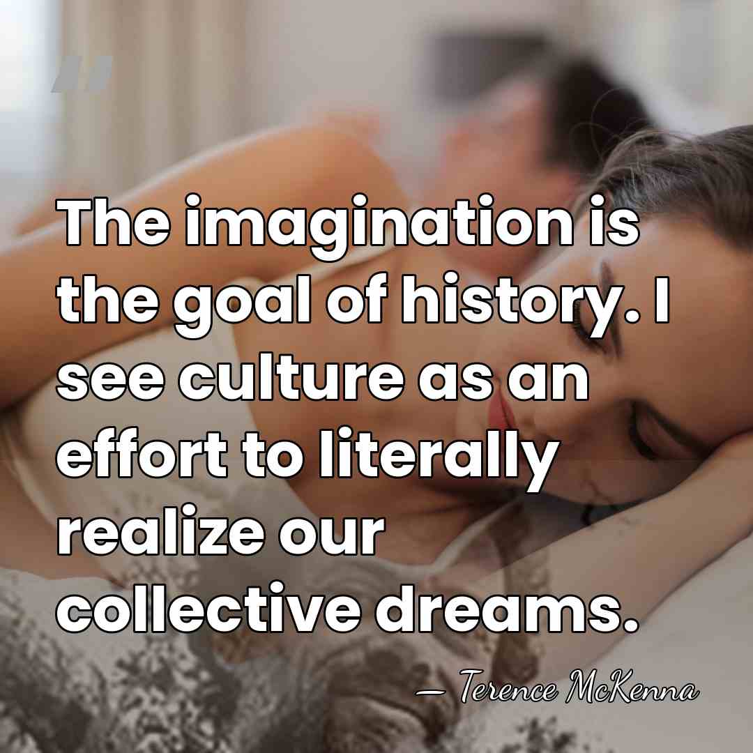 The imagination is the goal of history. I see culture as an&hellip; - Terence McKenna