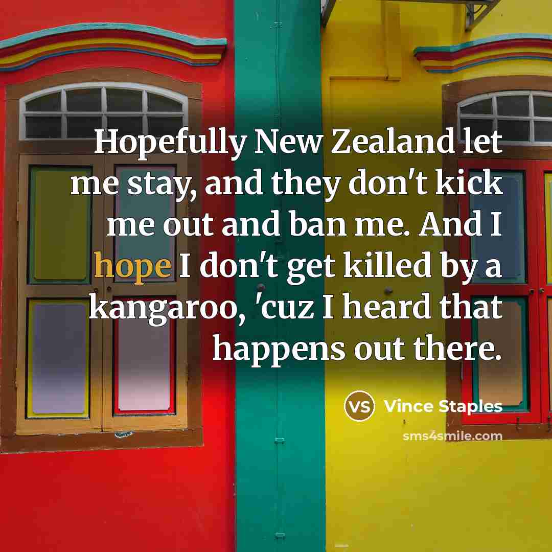 “Hopefully New Zealand let me stay, and they don't kick…” quote by Vince Staples