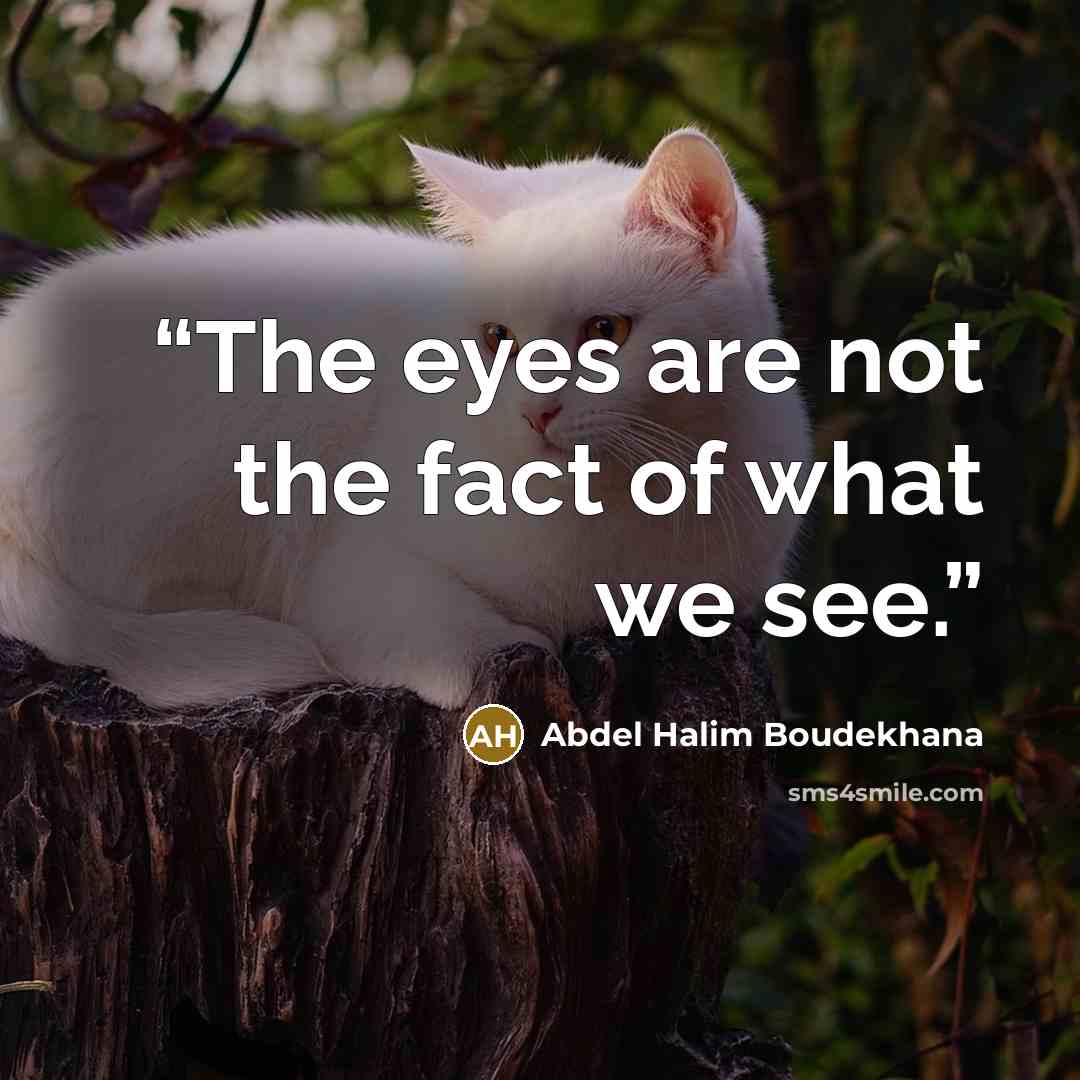 “The eyes are not the fact of what we see.” quote by Abdel Halim Boudekhana