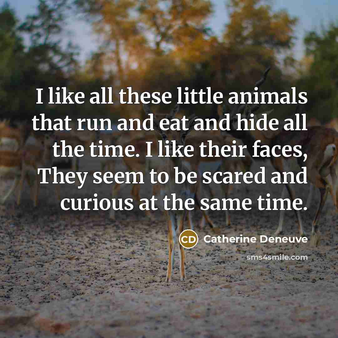 “I like all these little animals that run and eat…” quote by Catherine Deneuve
