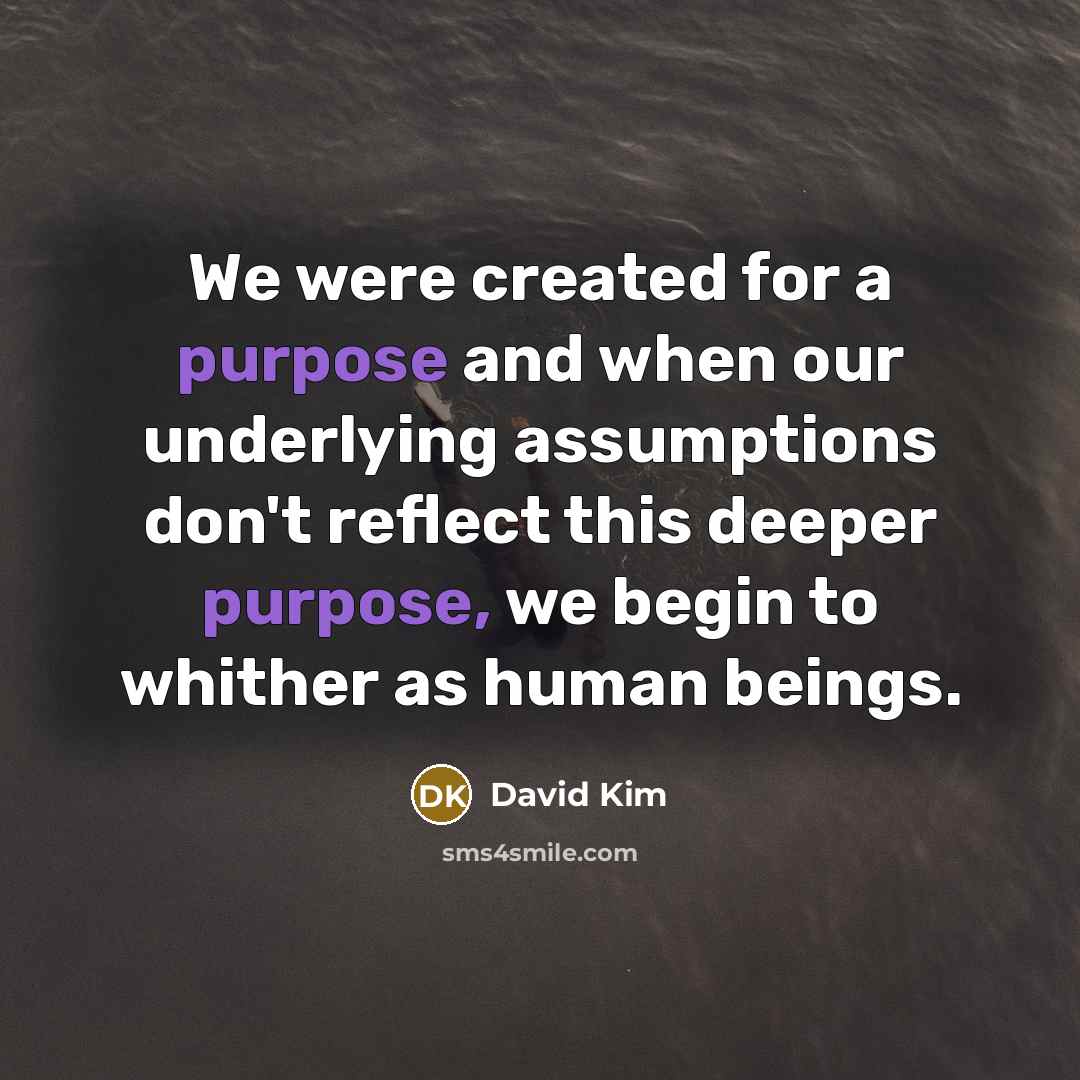 “We were created for a purpose and when our underlying…” quote by David Kim