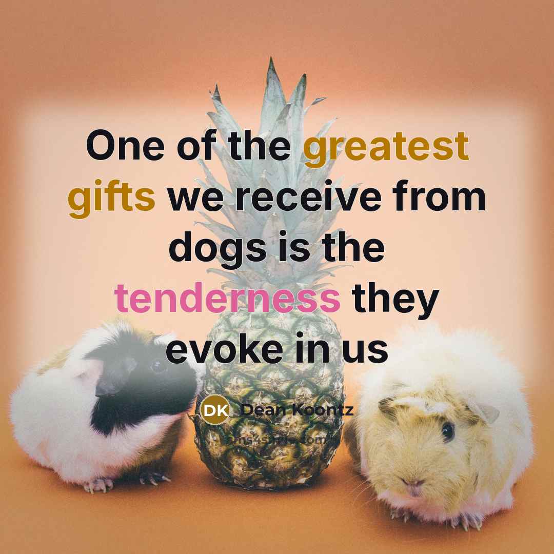 “One of the greatest gifts we receive from dogs is the tenderness they evoke in us” quote by Dean Koontz