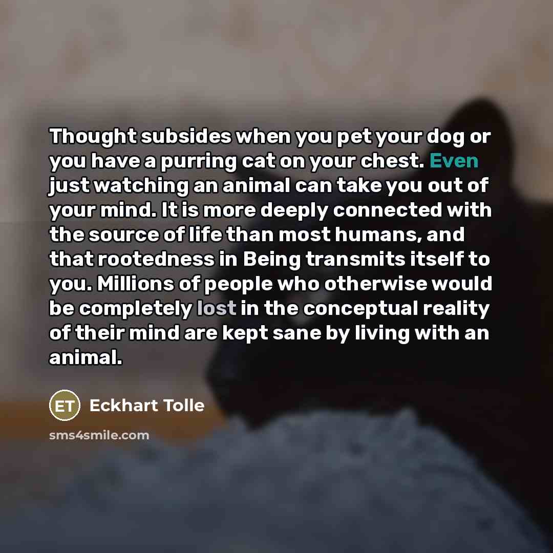 “Thought subsides when you pet your dog or you have…” quote by Eckhart Tolle