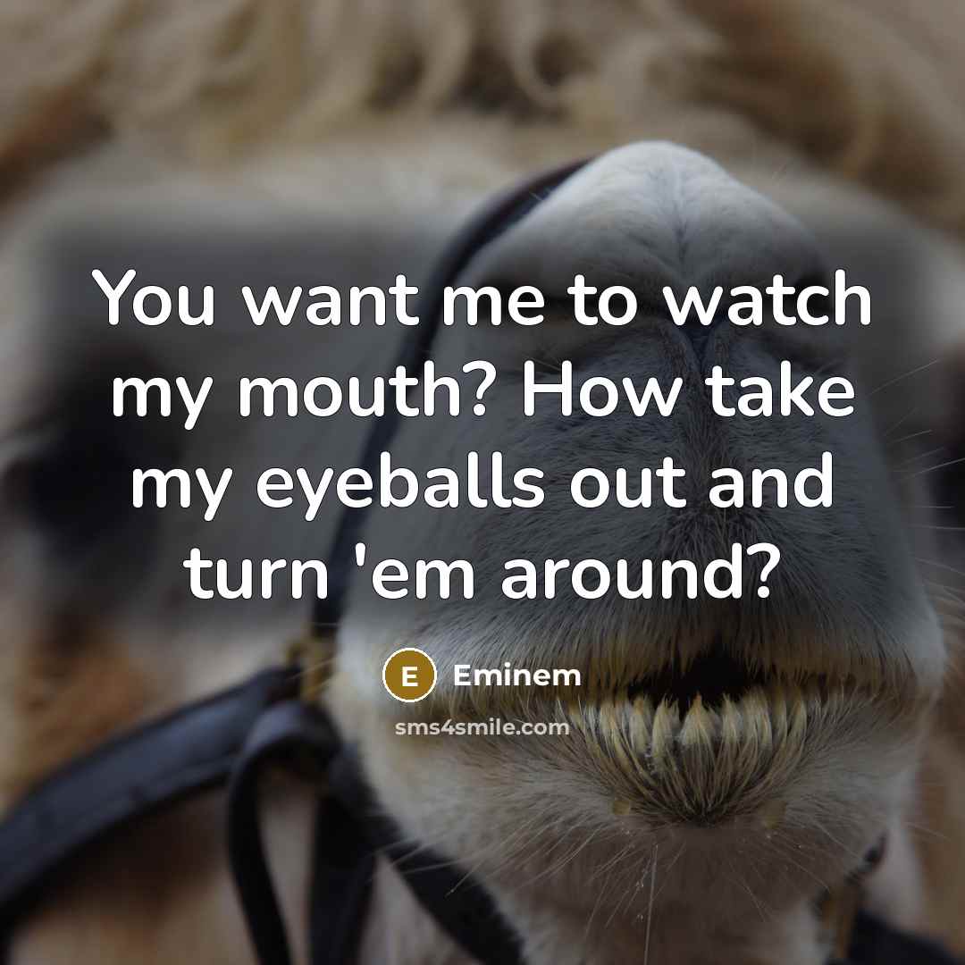 “You want me to watch my mouth? How take my eyeballs out and turn 'em around?” quote by Eminem