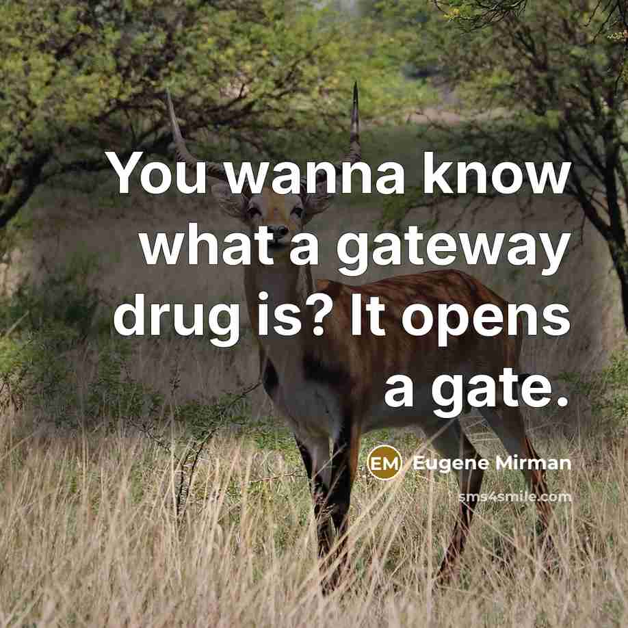 “You wanna know what a gateway drug is? It opens…” quote by Eugene Mirman