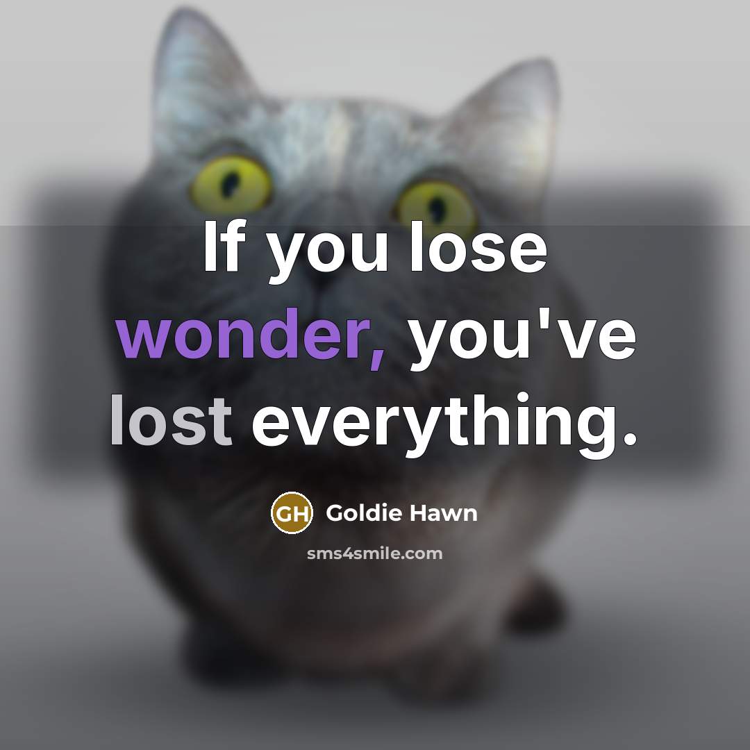 “If you lose wonder, you've lost everything.…” quote by Goldie Hawn