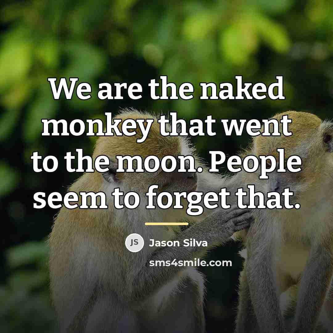 “We are the naked monkey that went to the moon.…” quote by Jason Silva