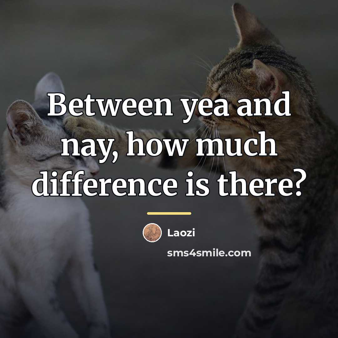 “Between yea and nay, how much difference is there?…” quote by Laozi