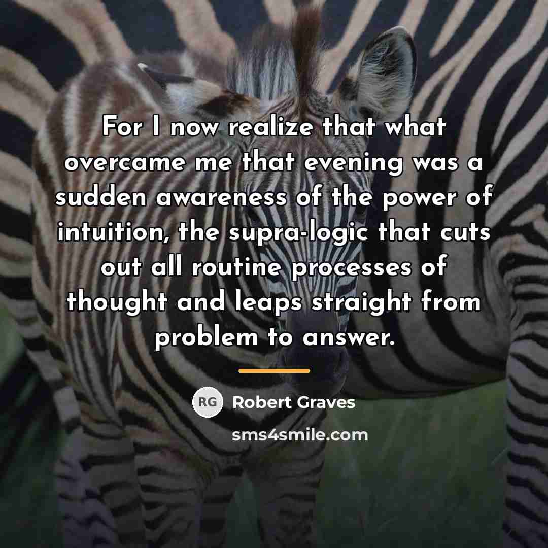 “For I now realize that what overcame me that evening…” quote by Robert Graves