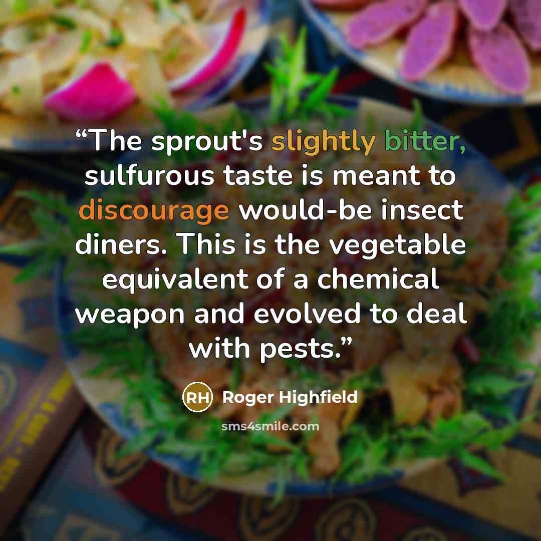 “The sprout's slightly bitter, sulfurous taste is meant to discourage would-be insect diners. This is the vegetable equivalent of a chemical weapon and evolved to deal with pests.” quote by Roger Highfield