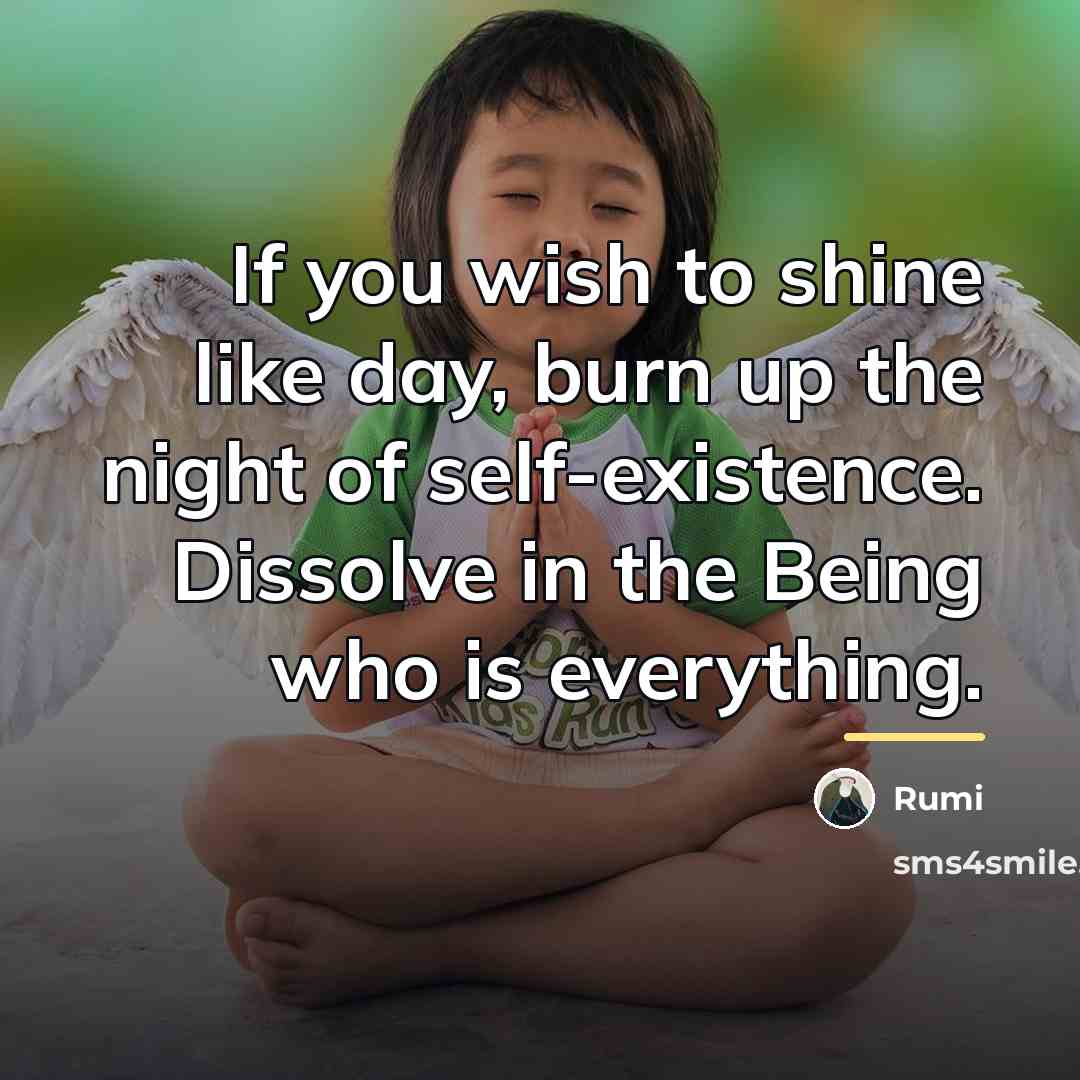 “If you wish to shine like day, burn up the…” quote by Rumi