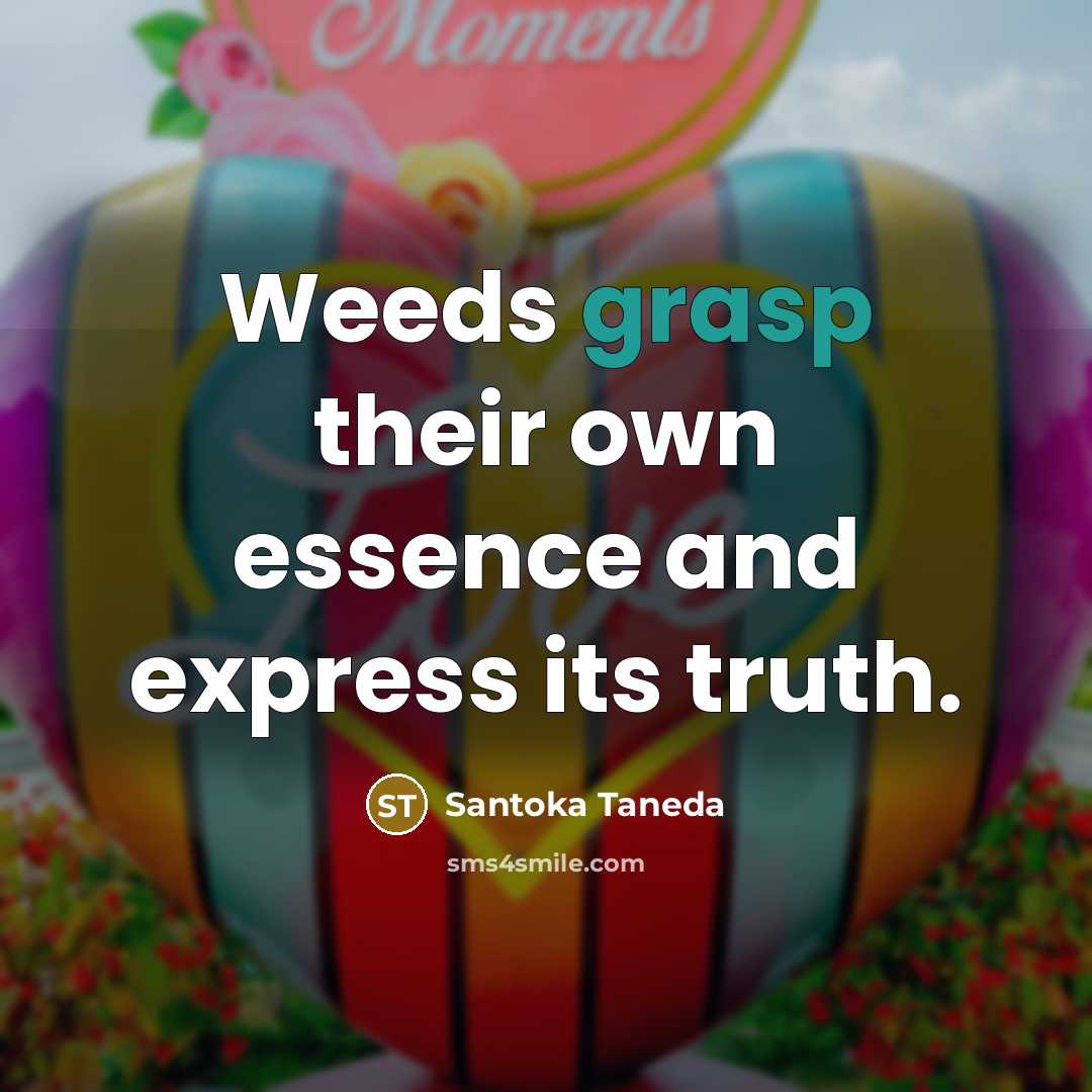 “Weeds grasp their own essence and express its truth.…” quote by Santoka Taneda