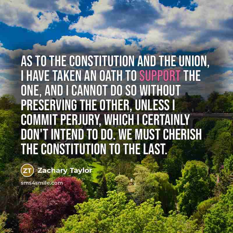 “As to the Constitution and the Union, I have taken…” quote by Zachary Taylor