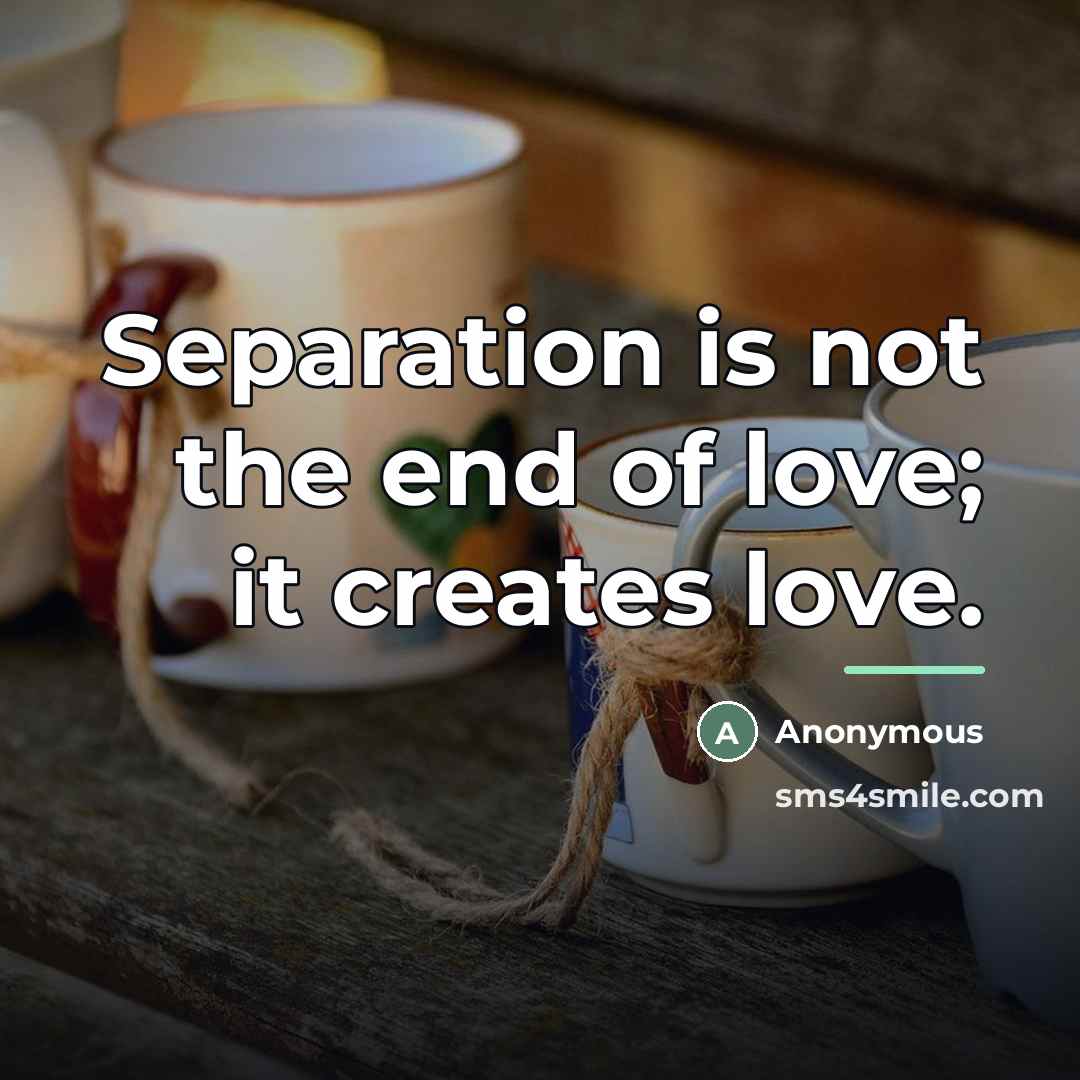 “Separation is not the end of love; it creates love.…” quote by Anonymous