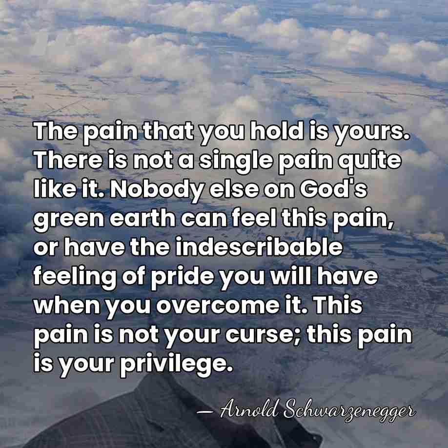 The pain that you hold is yours. There is not a single&hellip; - Arnold Schwarzenegger