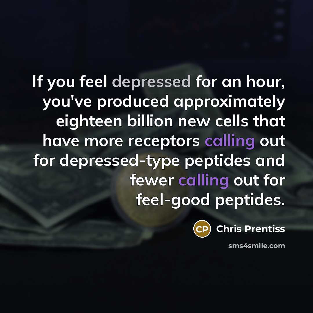 “If you feel depressed for an hour, you've produced approximately…” quote by Chris Prentiss