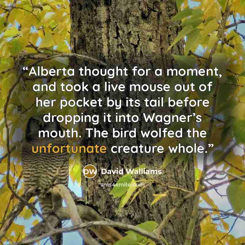 “Alberta thought for a moment, and took a live mouse out of her pocket by its tail before dropping it into Wagner’s mouth. The bird wolfed the unfortunate creature whole.” quote by David Walliams