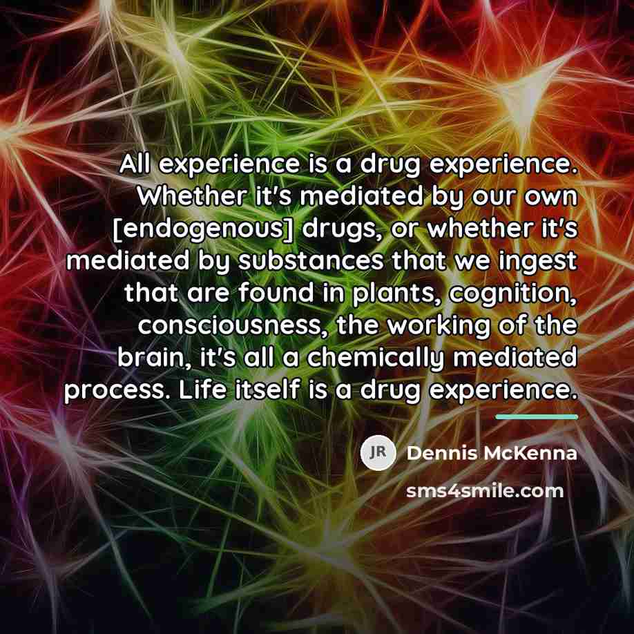 “All experience is a drug experience. Whether it's mediated by…” quote by Dennis McKenna