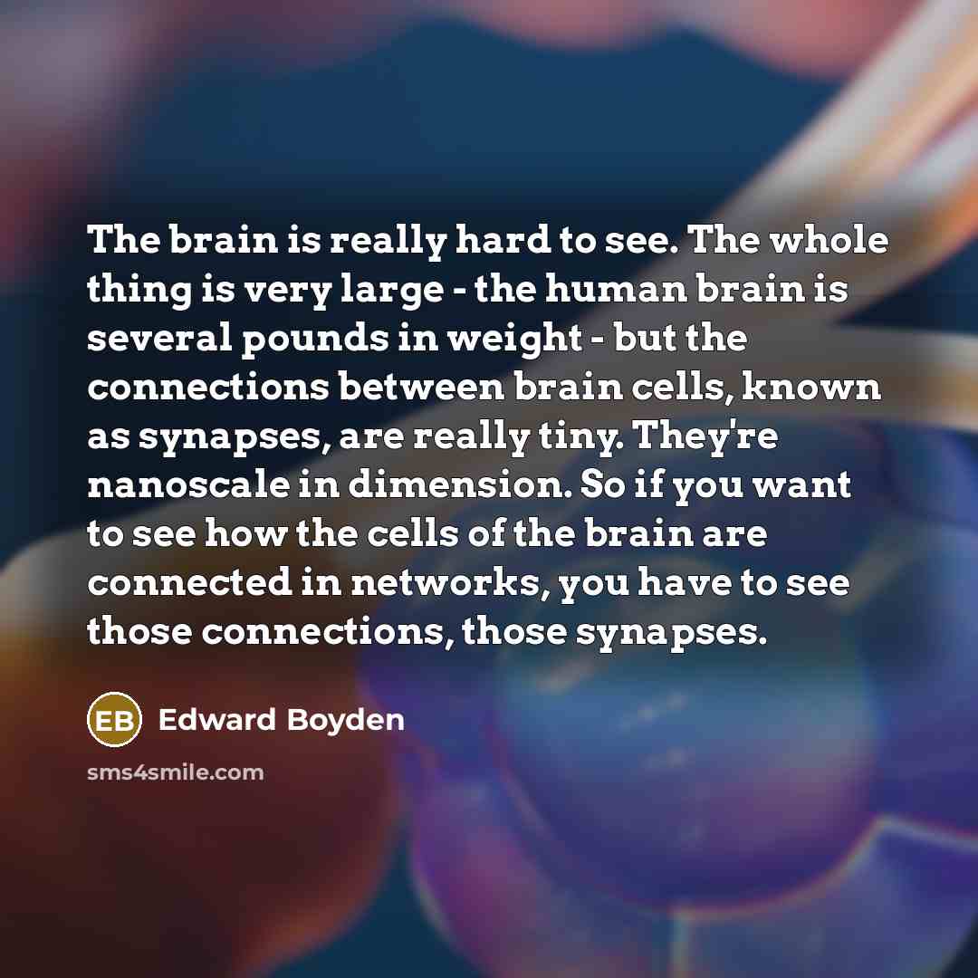 “The brain is really hard to see. The whole thing…” quote by Edward Boyden