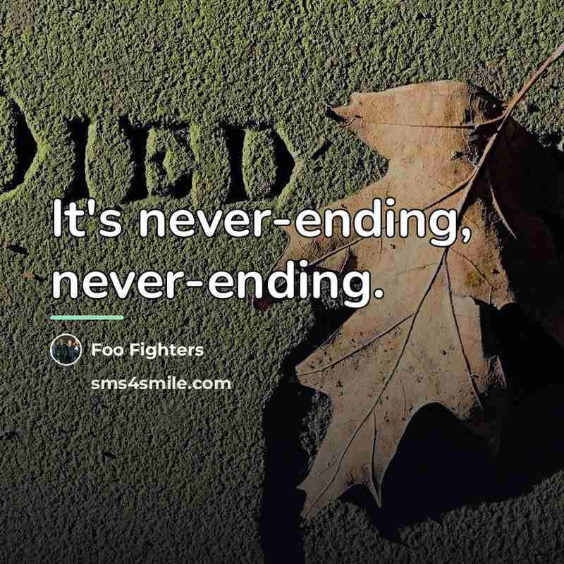 “It's never-ending, never-ending.…” quote by Foo Fighters