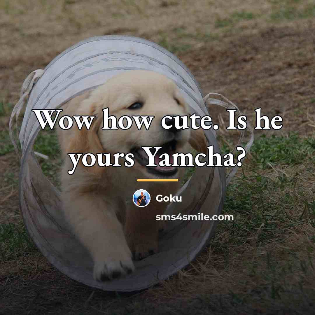 “Wow how cute. Is he yours Yamcha?…” quote by Goku