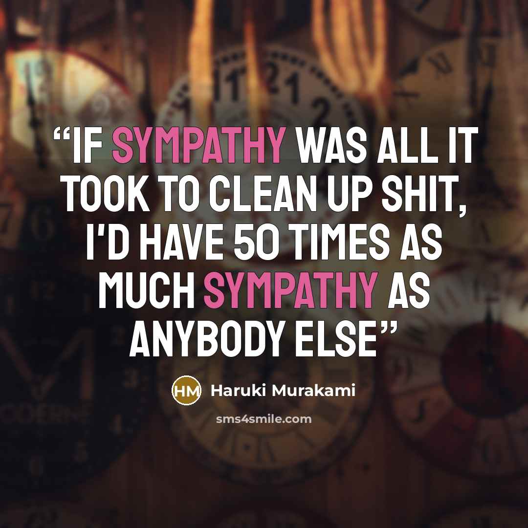 “If sympathy was all it took to clean up shit, I'd have 50 times as much sympathy as anybody else” quote by Haruki Murakami