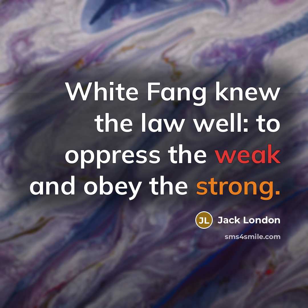 “White Fang knew the law well: to oppress the weak and obey the strong.” quote by Jack London