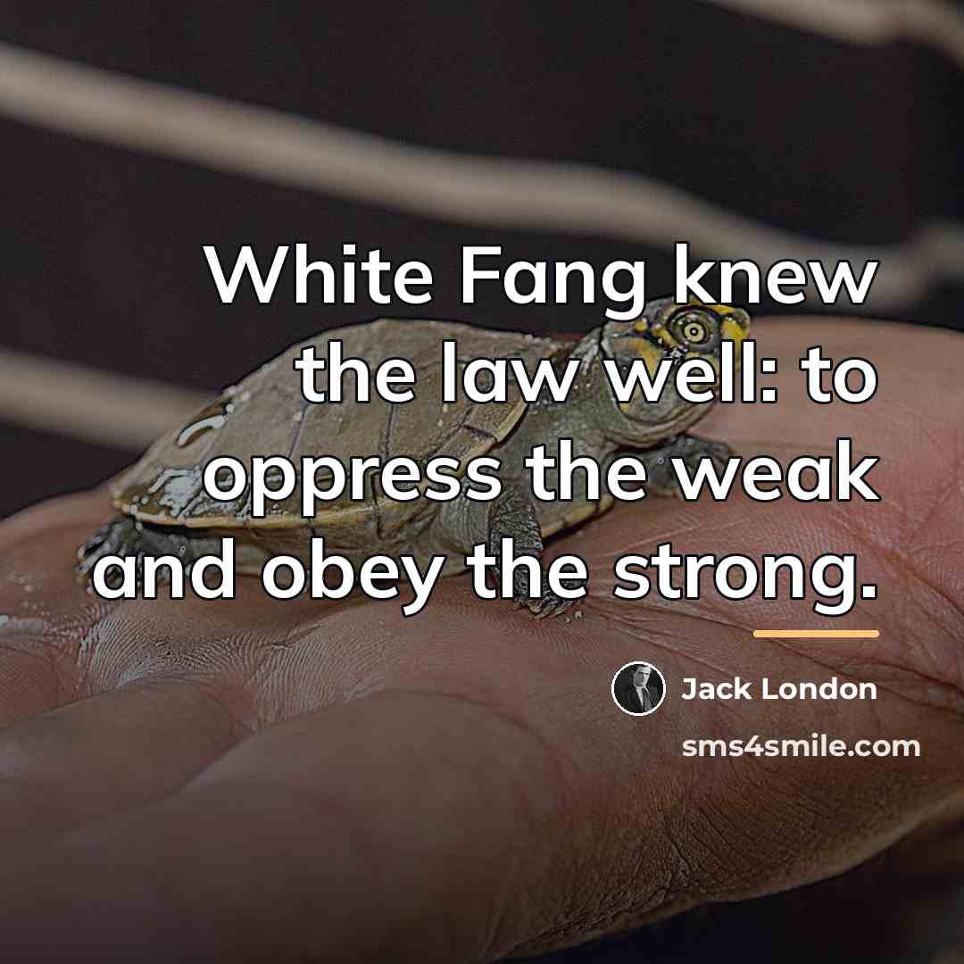 “White Fang knew the law well: to oppress the weak…” quote by Jack London