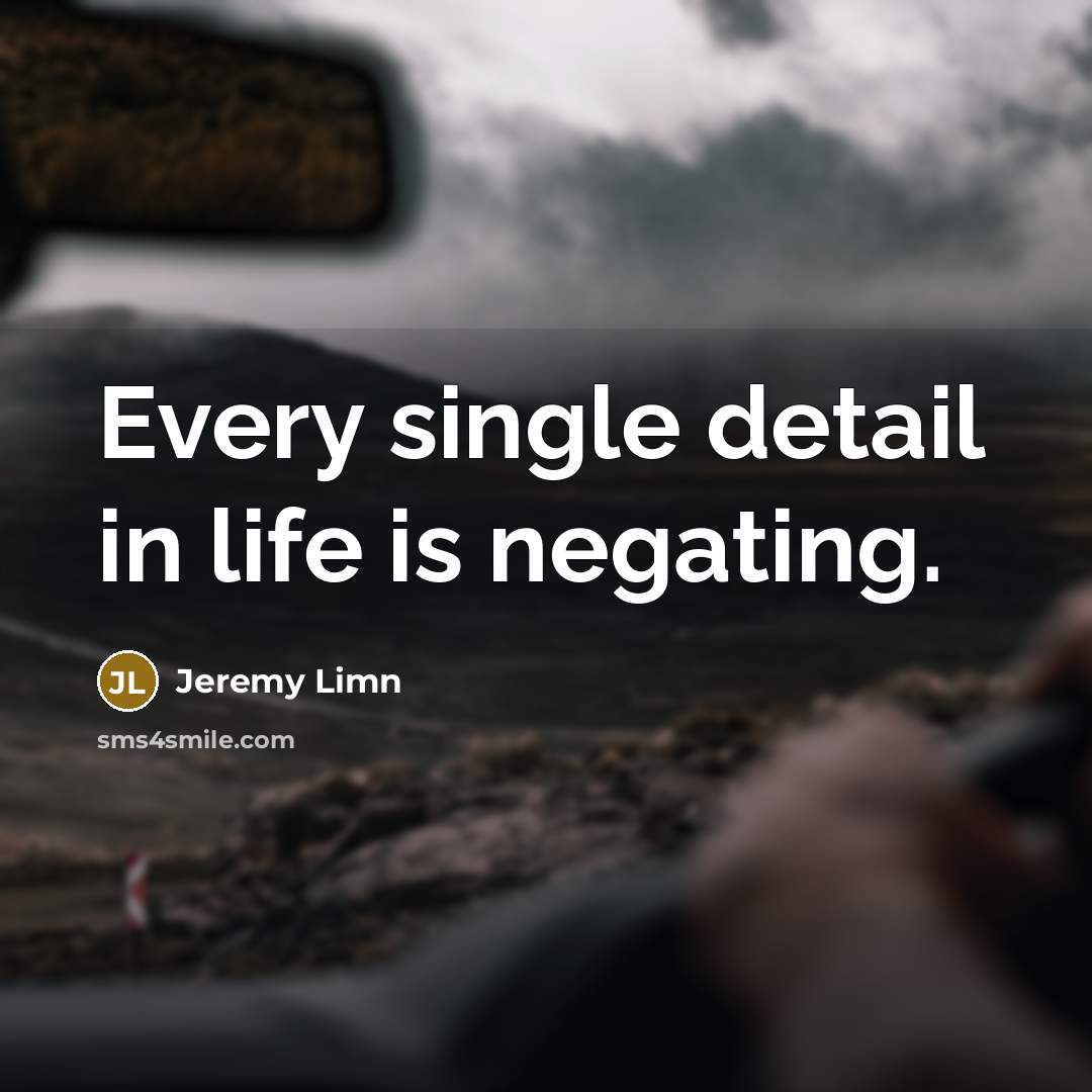 “Every single detail in life is negating.…” quote by Jeremy Limn
