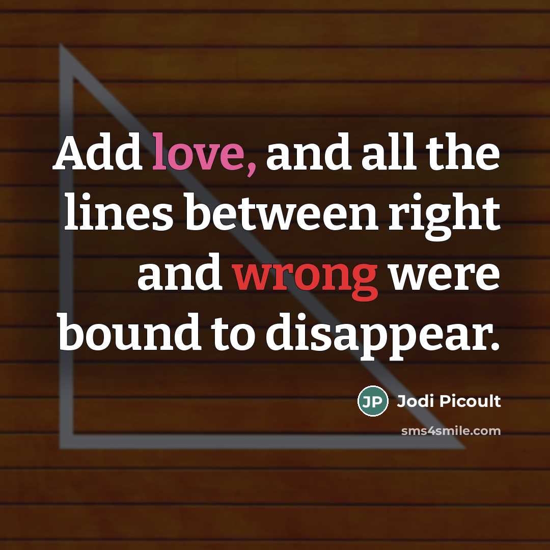“Add love, and all the lines between right and wrong…” quote by Jodi Picoult