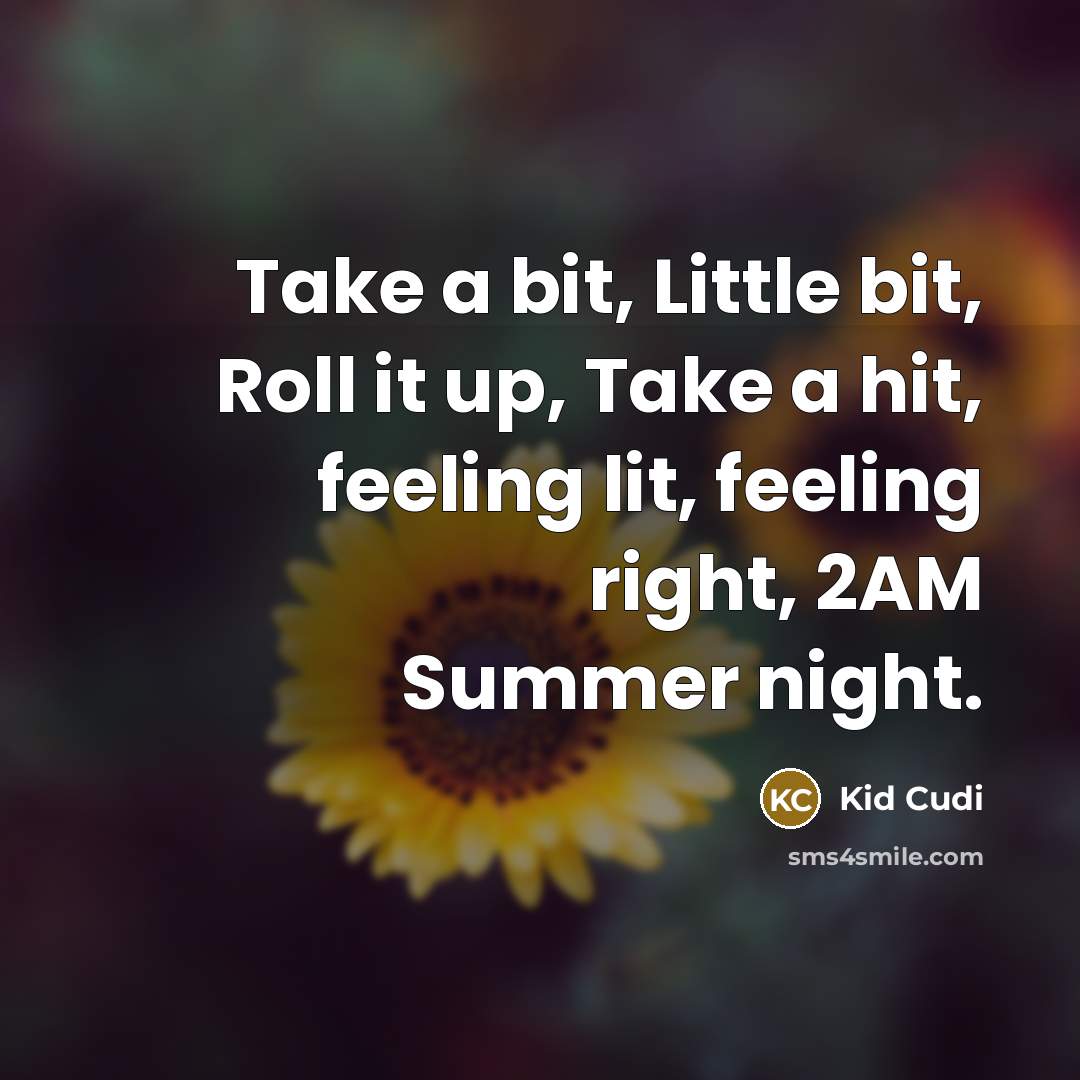 “Take a bit, Little bit, Roll it up, Take a hit, feeling lit, feeling right, 2AM Summer night.” quote by Kid Cudi