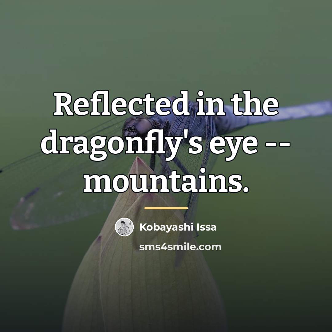 “Reflected in the dragonfly's eye -- mountains.…” quote by Kobayashi Issa