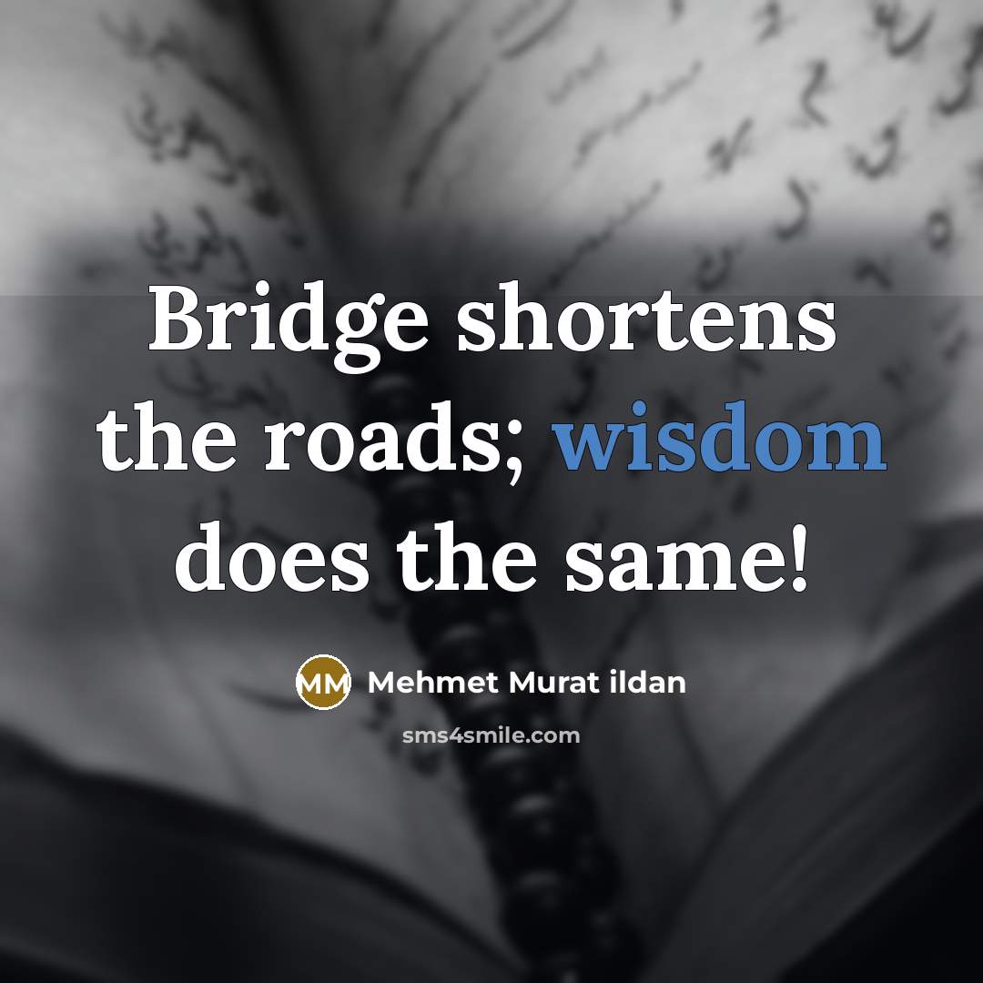 “Bridge shortens the roads; wisdom does the same!…” quote by Mehmet Murat Ildan