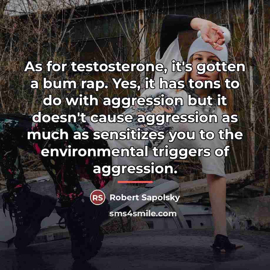 “As for testosterone, it's gotten a bum rap. Yes, it…” quote by Robert Sapolsky
