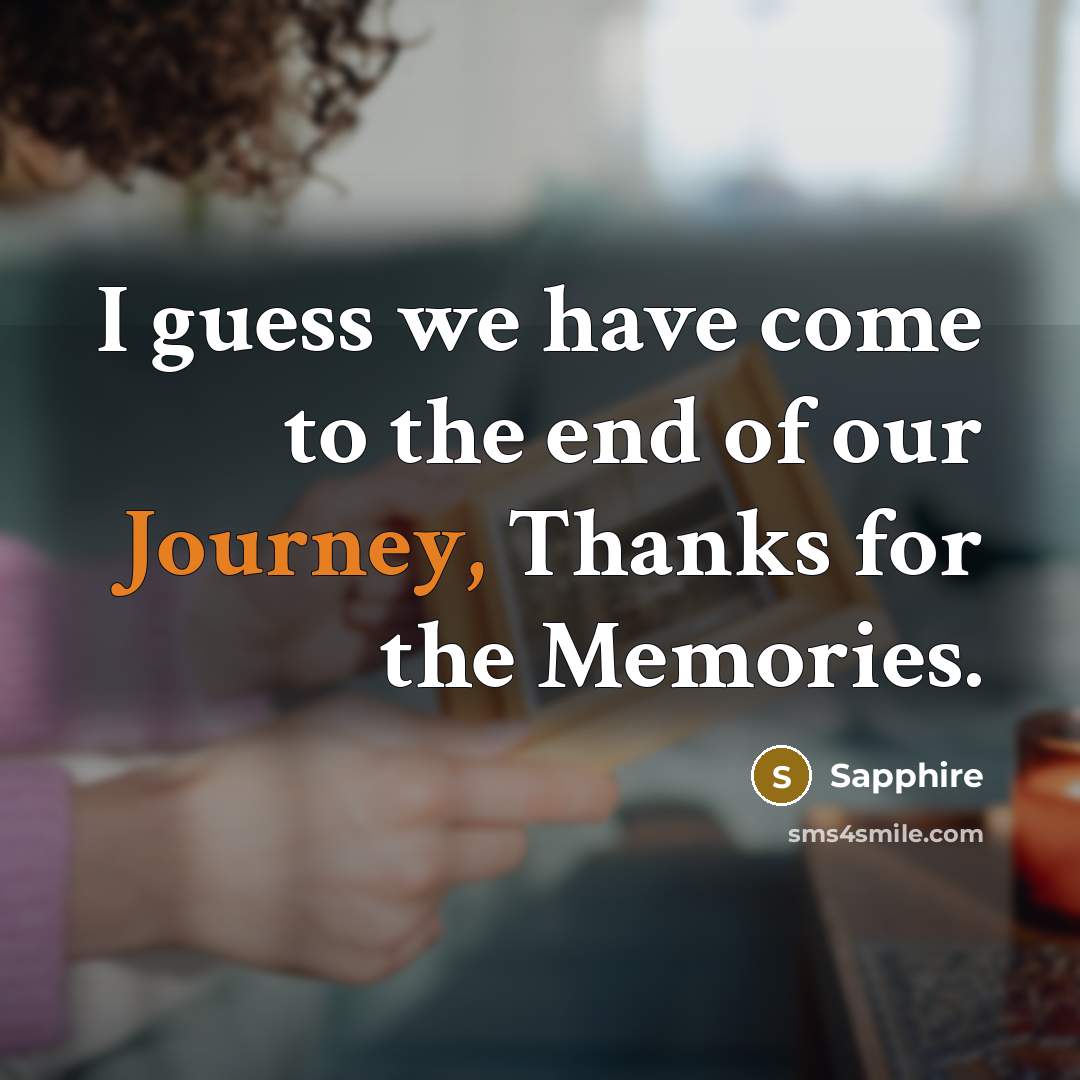 “I guess we have come to the end of our…” quote by Sapphire