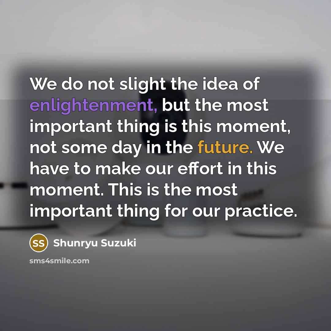 “We do not slight the idea of enlightenment, but the…” quote by Shunryu Suzuki