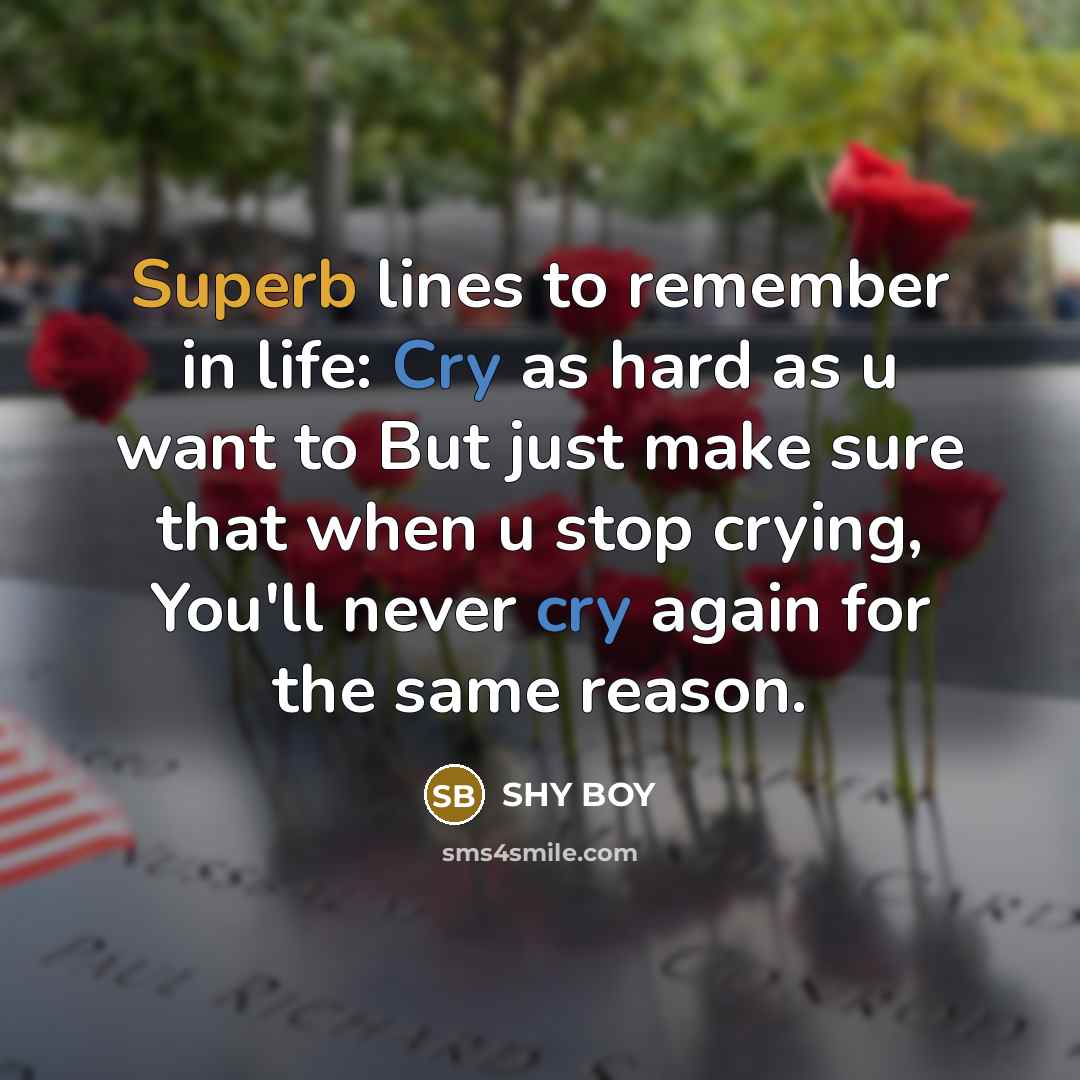 “Superb lines to remember in life: Cry as hard as…” quote by SHY BOY
