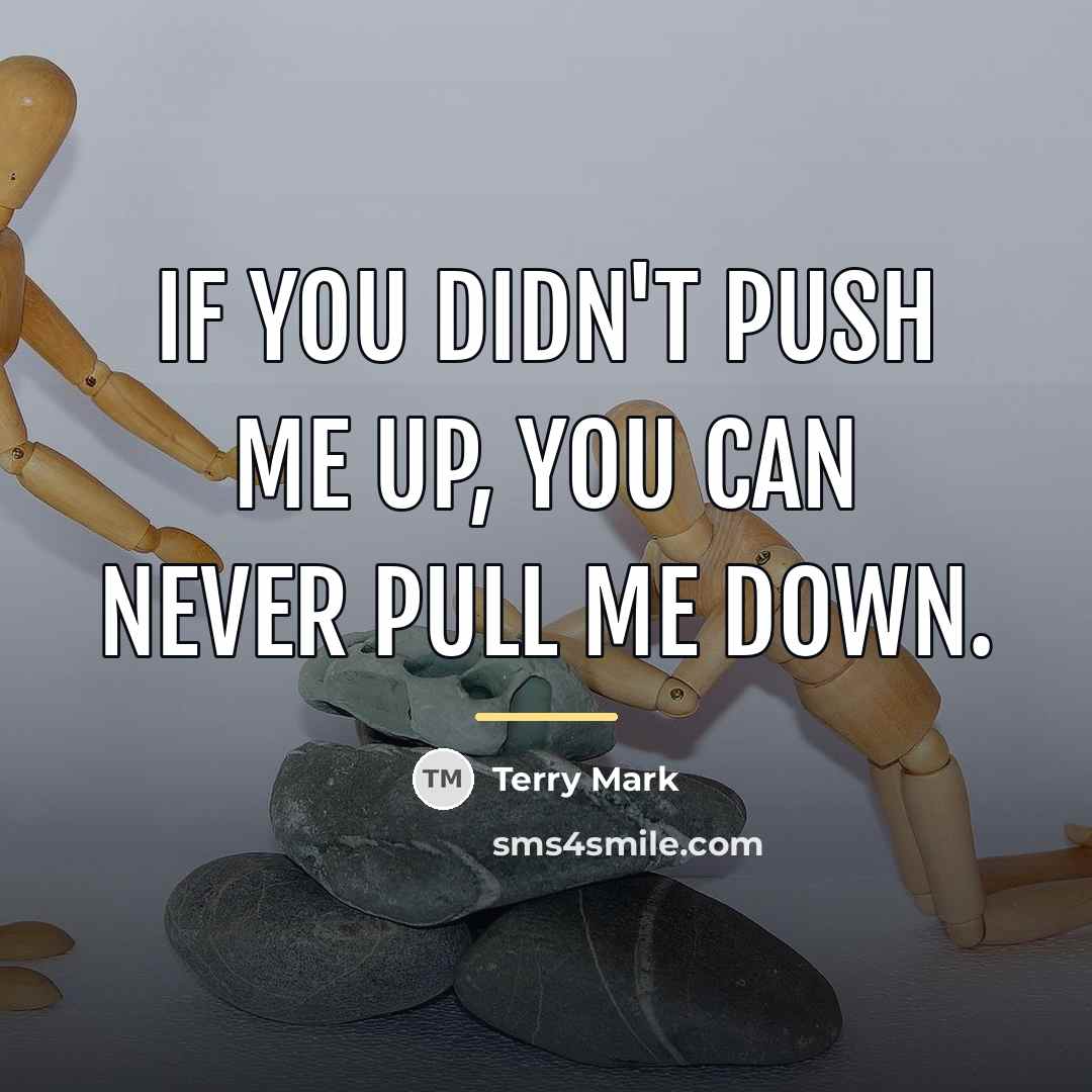 “If you didn't push me up, you can never pull…” quote by Terry Mark