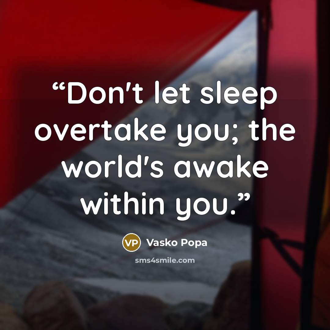 “Don't let sleep overtake you; the world's awake within you.” quote by Vasko Popa