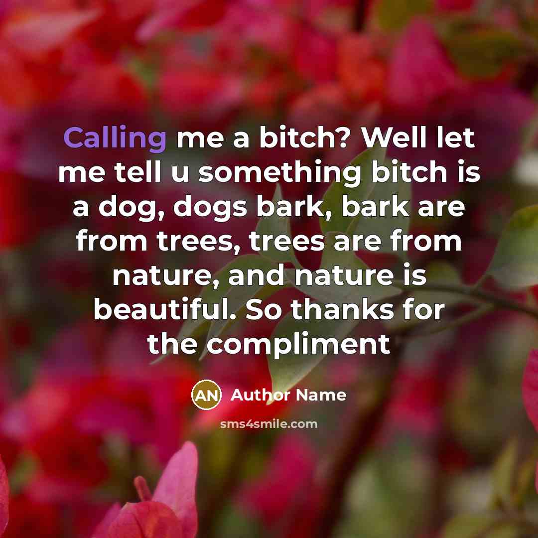 “Calling me a bitch? Well let me tell u something…” quote by Author Name