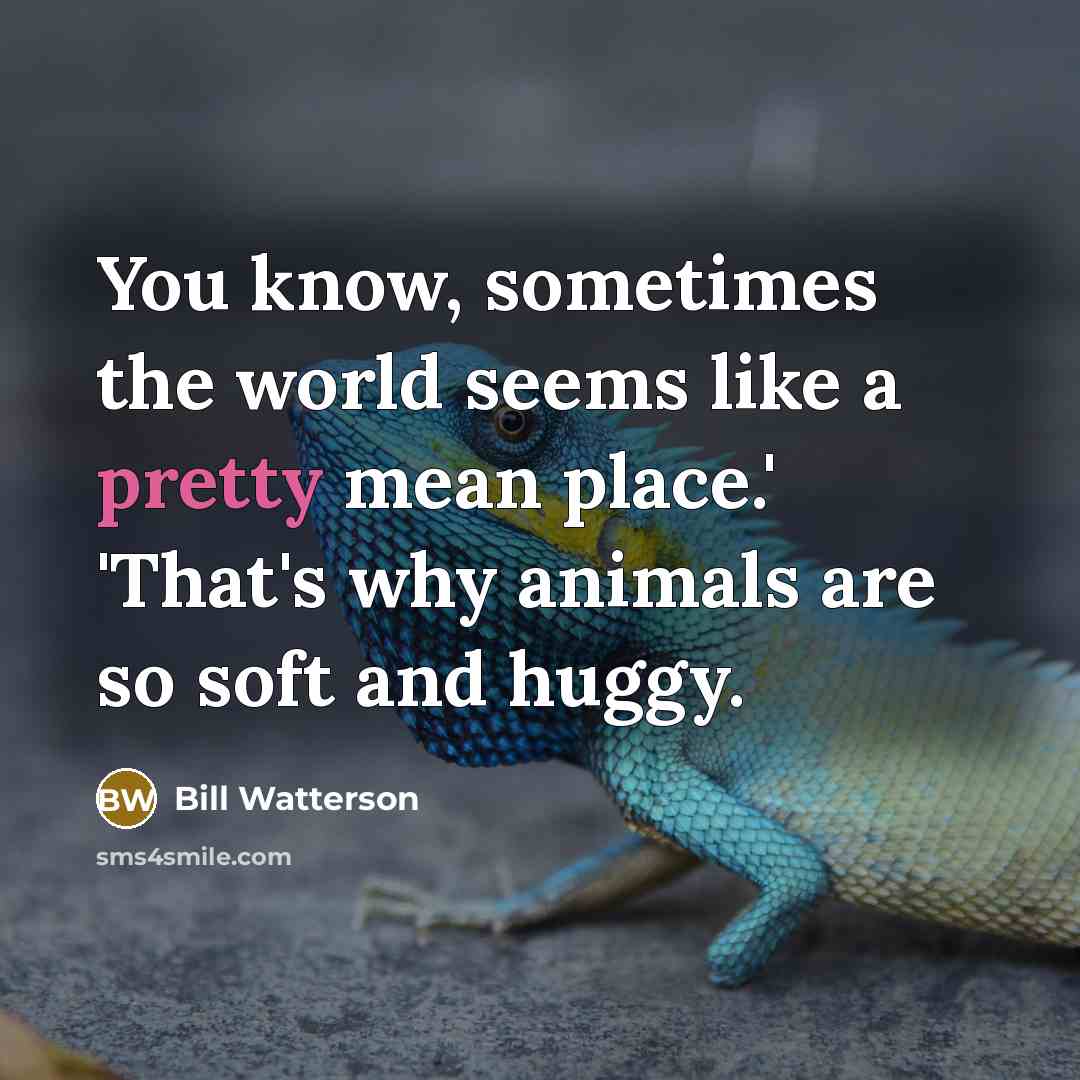 “You know, sometimes the world seems like a pretty mean…” quote by Bill Watterson