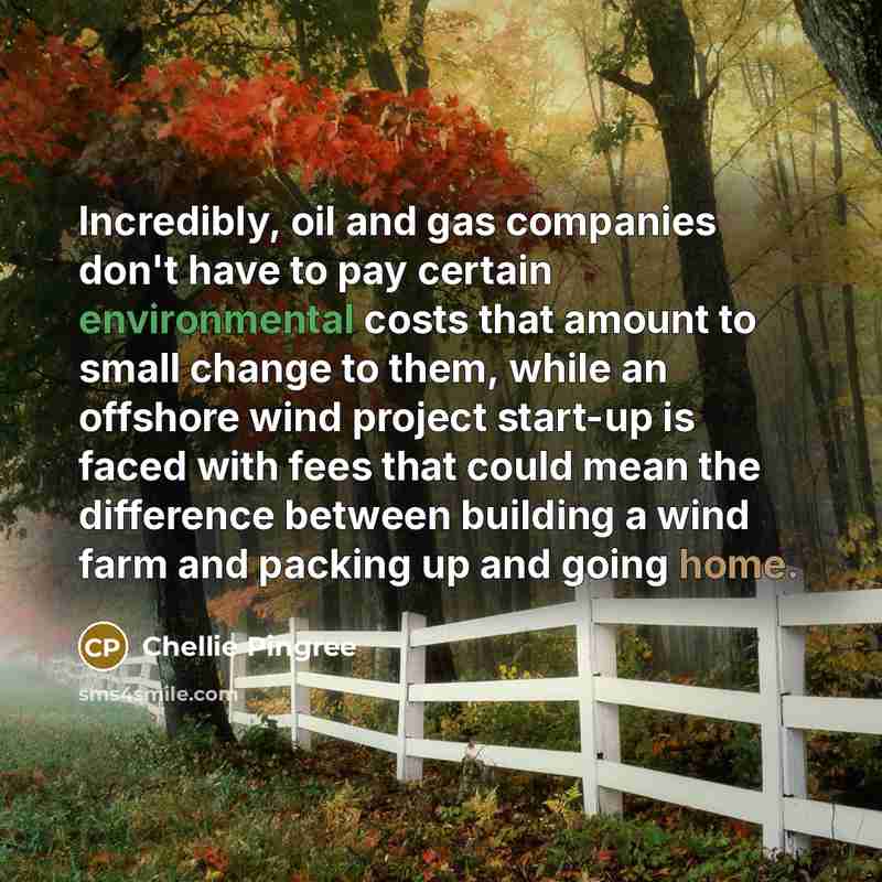 “Incredibly, oil and gas companies don't have to pay certain…” quote by Chellie Pingree
