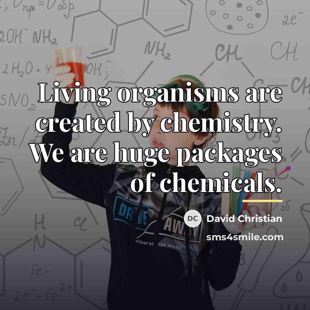 “Living organisms are created by chemistry. We are huge packages…” quote by David Christian