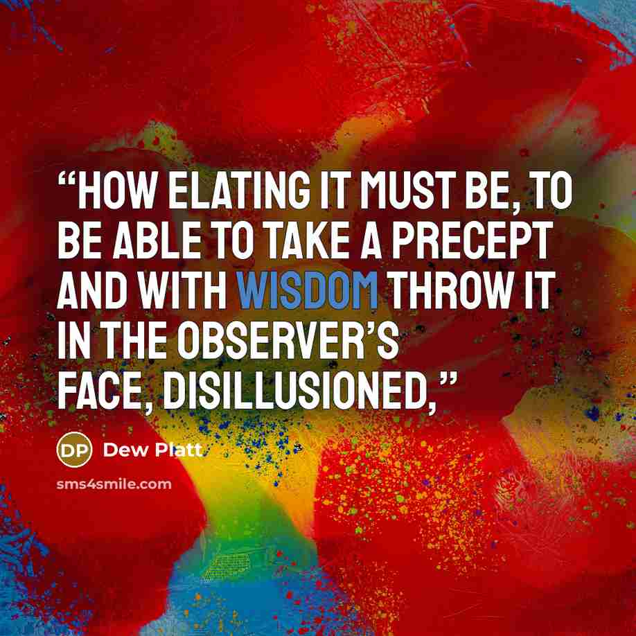 “How elating it must be, to be able to take a precept and with wisdom throw it in the observer’s face, disillusioned,” quote by Dew Platt