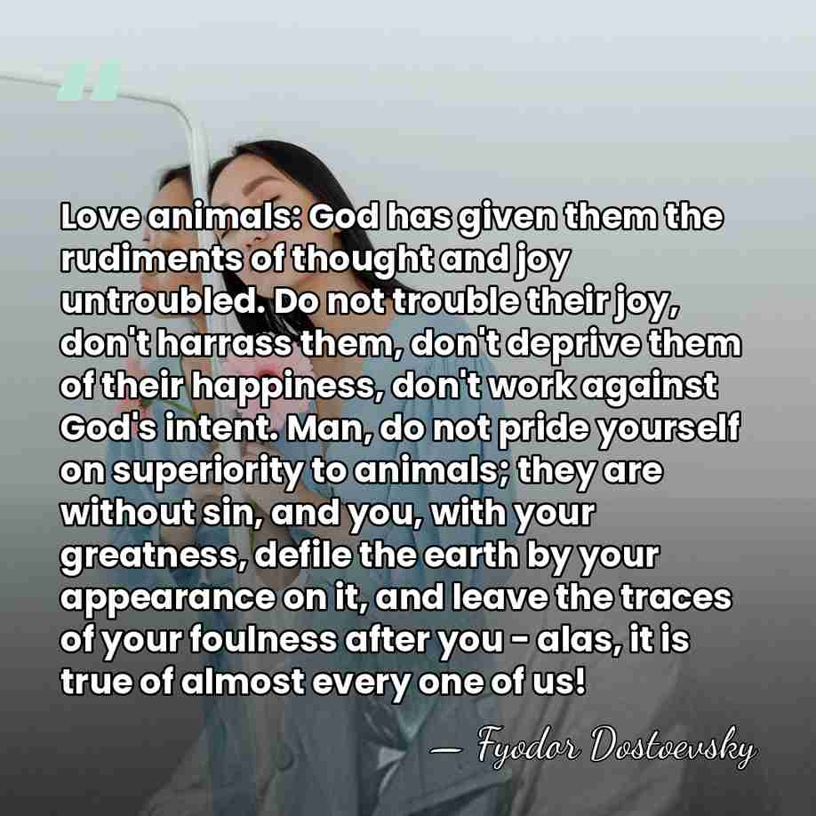 Love animals: God has given them the rudiments of thought and joy&hellip; - Fyodor Dostoevsky