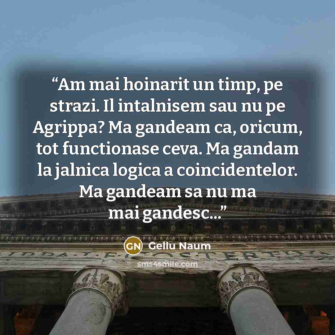 “Am mai hoinarit un timp, pe strazi. Il intalnisem sau nu pe Agrippa? Ma gandeam ca, oricum, tot functionase ceva. Ma gandam la jalnica logica a coincidentelor. Ma gandeam sa nu ma mai gandesc...” quote by Gellu Naum