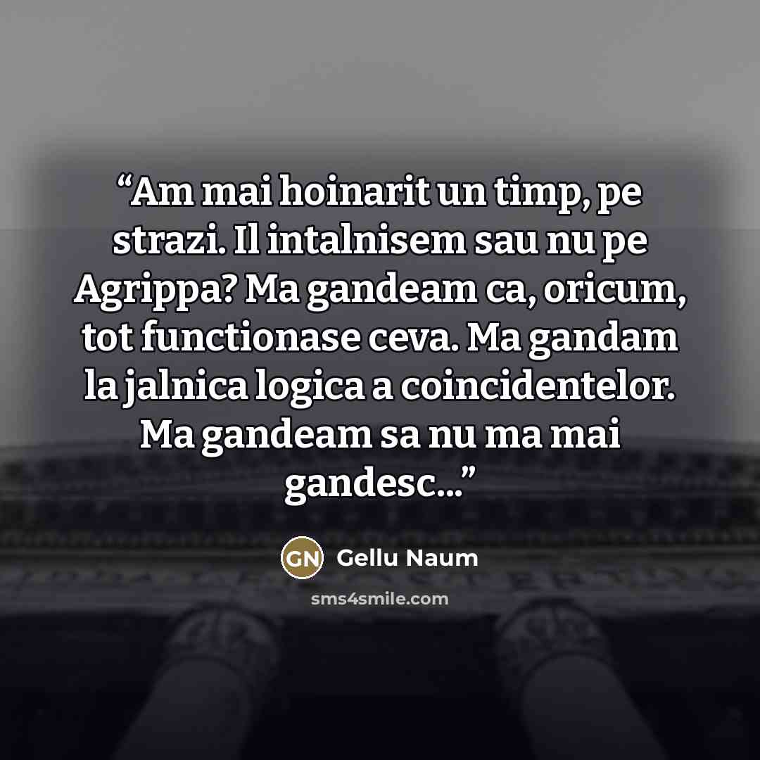 “Am mai hoinarit un timp, pe strazi. Il intalnisem sau nu pe Agrippa? Ma gandeam ca, oricum, tot functionase ceva. Ma gandam la jalnica logica a coincidentelor. Ma gandeam sa nu ma mai gandesc...” quote by Gellu Naum