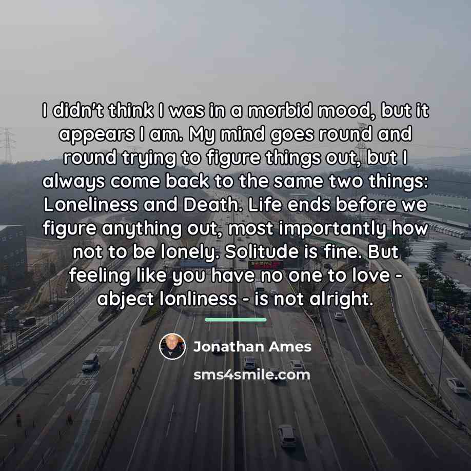 “I didn't think I was in a morbid mood, but…” quote by Jonathan Ames